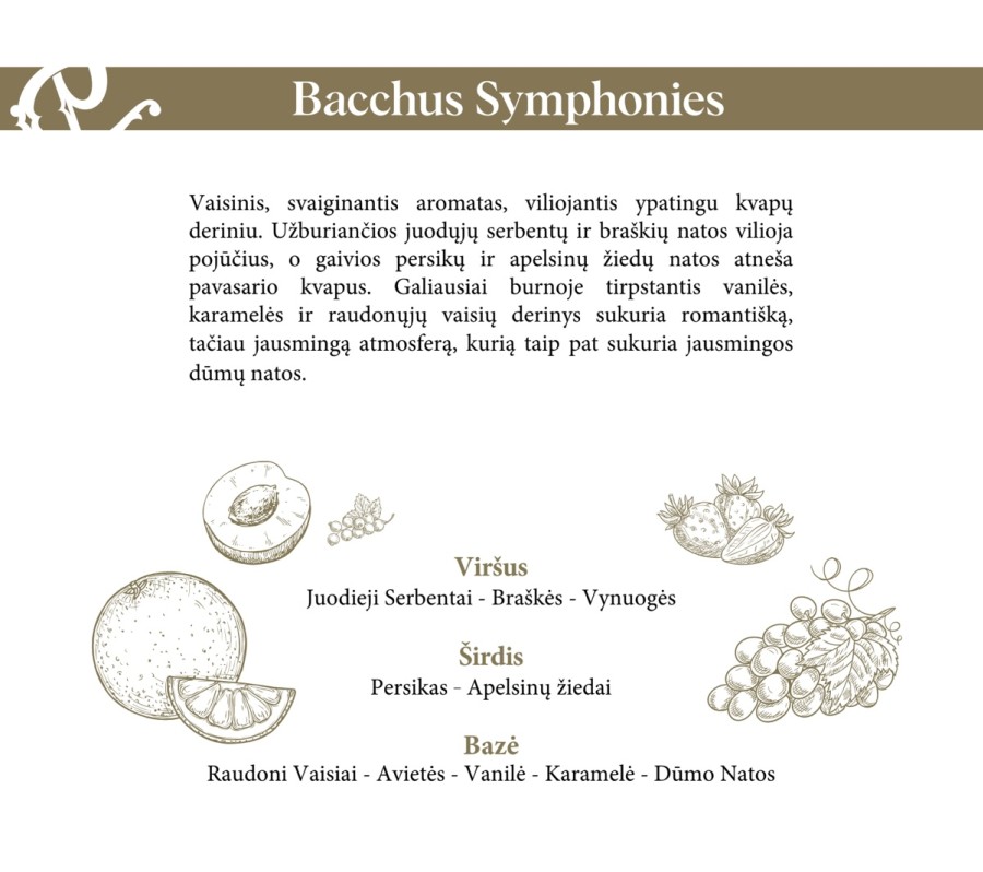 Namų kvapas su lazdelėmis BACCHUS 100ml.